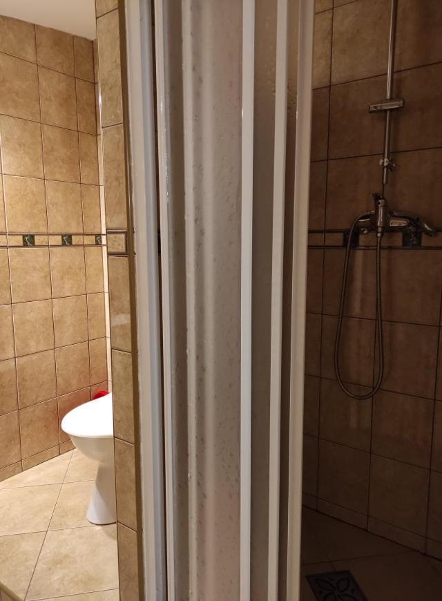 Arnika Wynajem Pokoi Apartment Zakopane Ngoại thất bức ảnh
