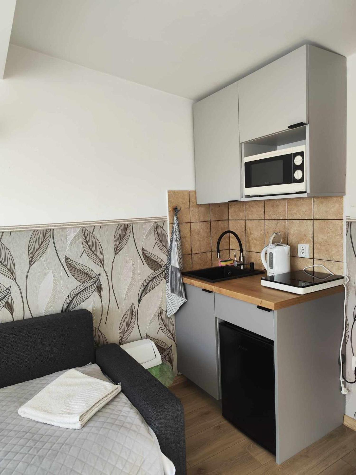 Arnika Wynajem Pokoi Apartment Zakopane Ngoại thất bức ảnh