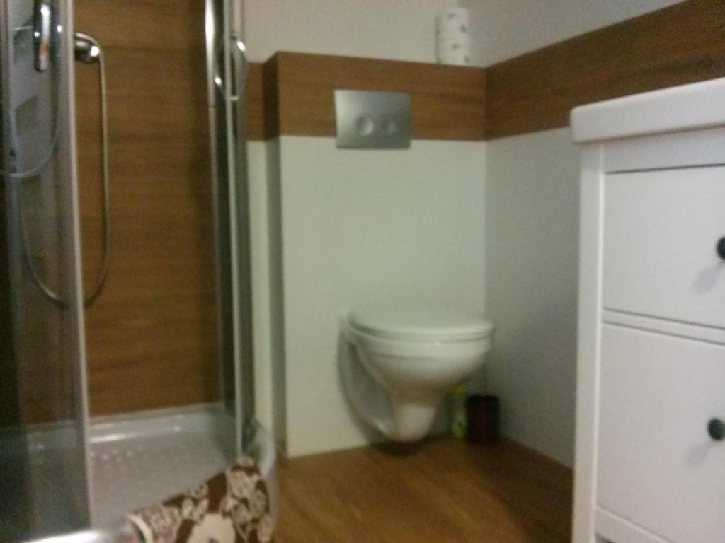 Arnika Wynajem Pokoi Apartment Zakopane Ngoại thất bức ảnh