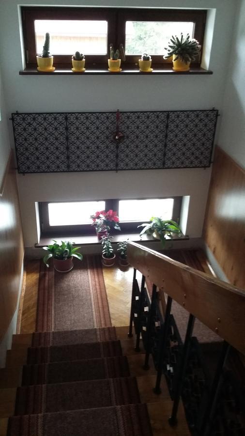 Arnika Wynajem Pokoi Apartment Zakopane Ngoại thất bức ảnh