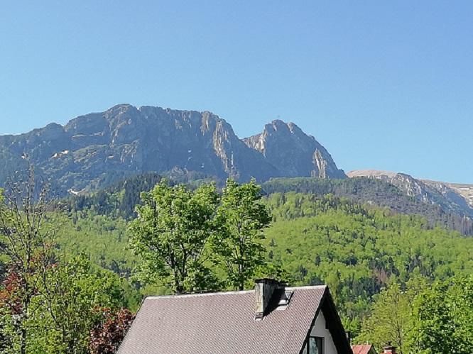 Arnika Wynajem Pokoi Apartment Zakopane Ngoại thất bức ảnh