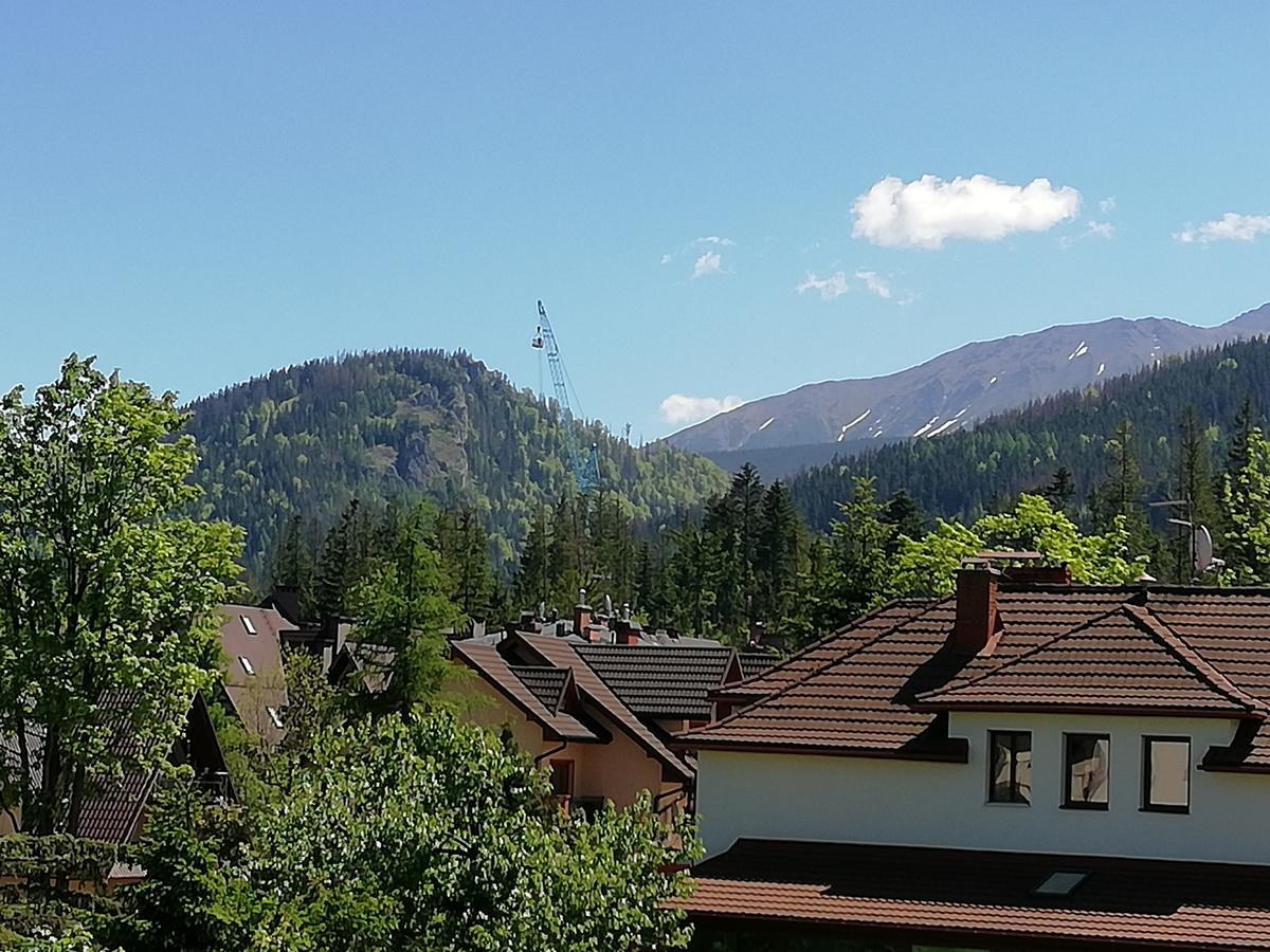 Arnika Wynajem Pokoi Apartment Zakopane Ngoại thất bức ảnh